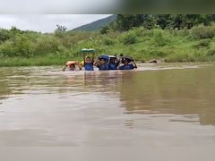 Odisha Floods: 600 People Affected In Jajpur District, Yellow Warning Issued