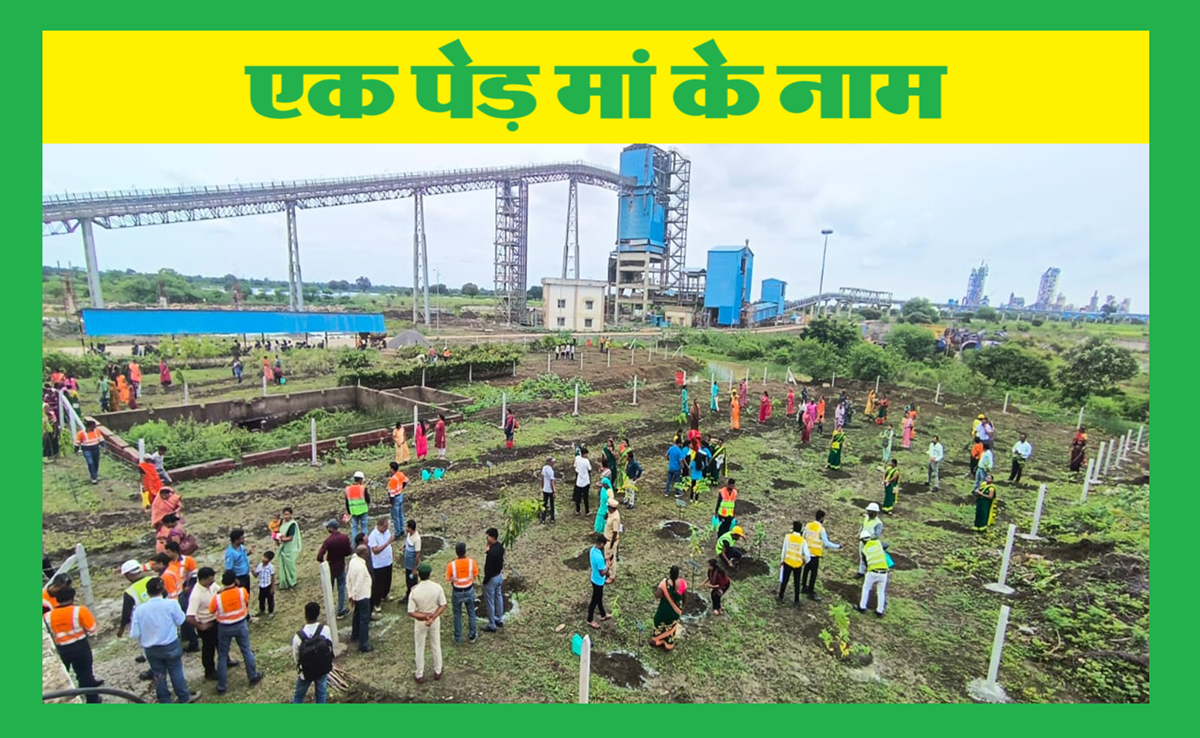 Ek Ped Maa Ke Naam: अंबुजा सीमेंट्स द्वारा 70,000 पौधों का रोपण; हरेली तिहार पर पर्यावरण के लिए अभियान