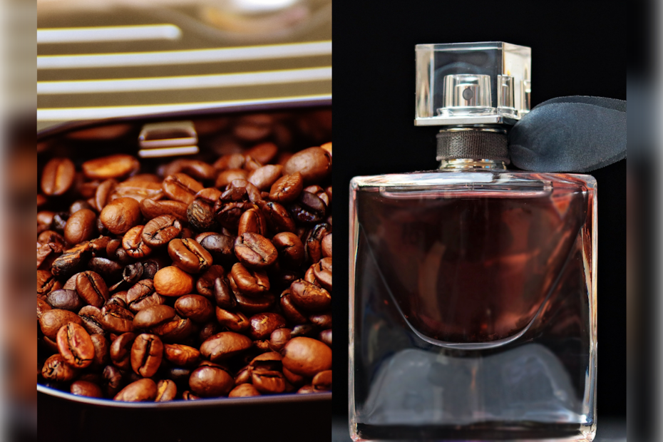 Coffee,Perfume,Latest blog,Latest trending perfume,viral news,Whosthat360,social media,news and media Coffee,Perfume,Latest blog,Latest trending perfume,viral news,Whosthat360,social media,news and media