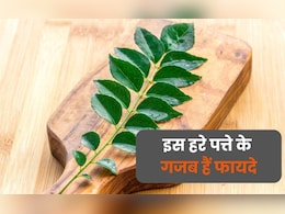 घर के गमले में मौजूद इस हरे पत्ते को रोज सुबह उठते ही चबाएं, मिलेंगे ये गजब के फायदे