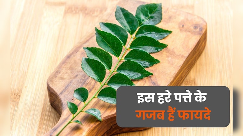 घर के गमले में मौजूद इस हरे पत्ते को रोज सुबह उठते ही चबाएं, मिलेंगे ये गजब के फायदे घर के गमले में मौजूद इस हरे पत्ते को रोज सुबह उठते ही चबाएं, मिलेंगे ये गजब के फायदे