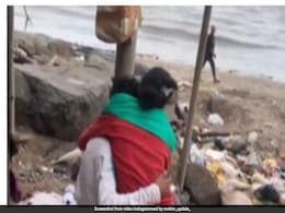 "New Day, New Low": Insta Account Sparks Outrage By Posting Mumbai Couples' Private Videos "New Day, New Low": Insta Account Sparks Outrage By Posting Mumbai Couples' Private Videos