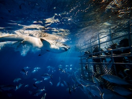 5 Of The Most Adrenaline-Pumping Experiences In South Africa