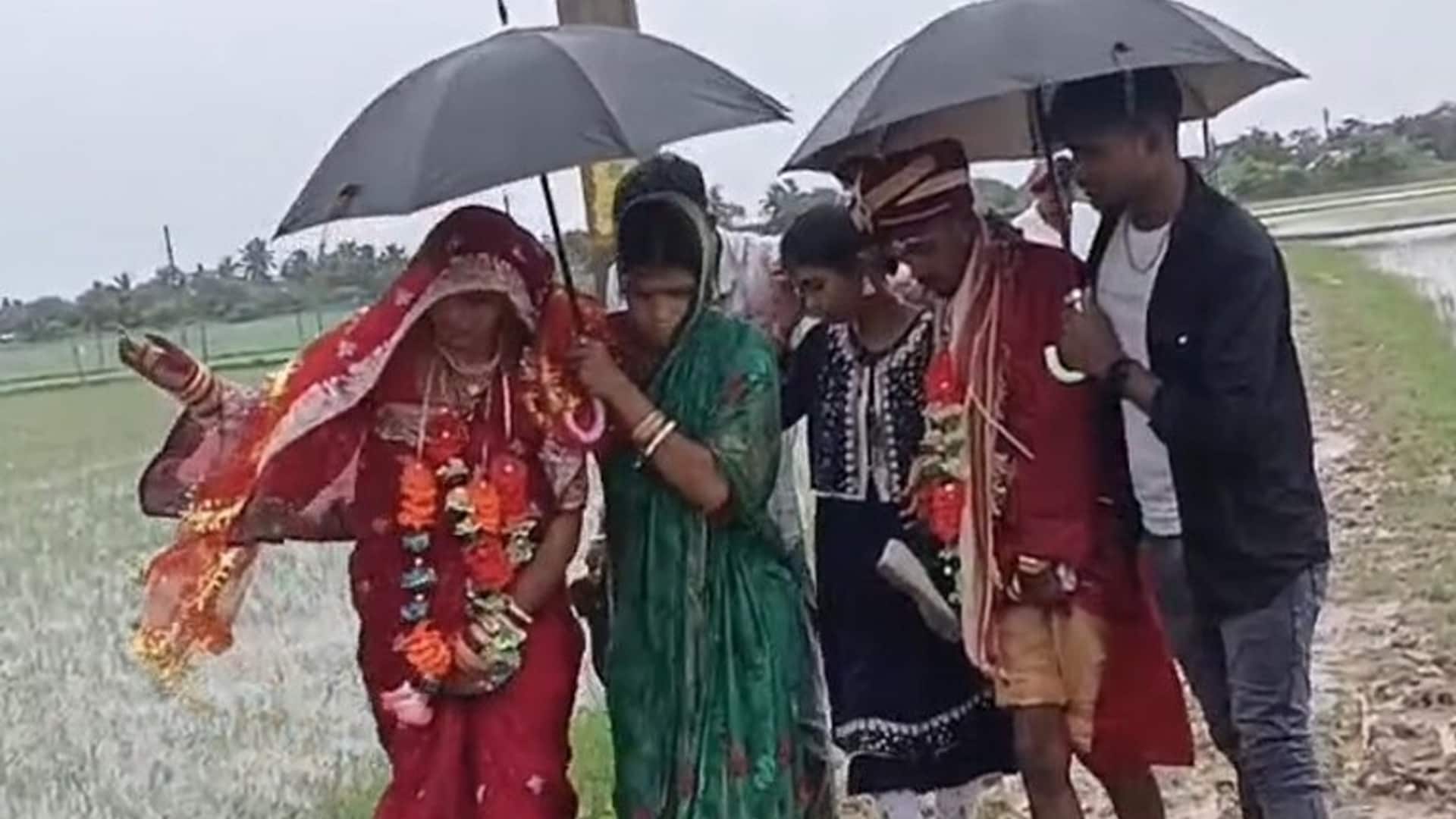 Video: Bride Walks Through Mud, Groom Carried On Shoulders In Odisha Village Without Road