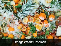 Trash to Treasure: Researchers Transform Food Waste Into Eco-Friendly Plastic