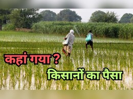 CAG Report: खेतों की जगह गाड़ियों में उड़ा किसानों का पैसा! FDF के पैसे से अधिकारियों ने लीं सिर्फ सुविधाएं