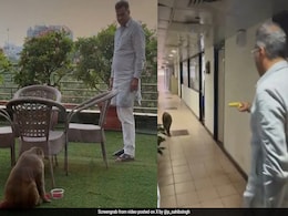 Video Of Delhi Minister's 'Special Guest' Goes Viral, Internet Reacts Video Of Delhi Minister's 'Special Guest' Goes Viral, Internet Reacts