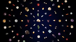 The Story Of Piprahwa Gems, The Buddha Link, And How India Got Them Back