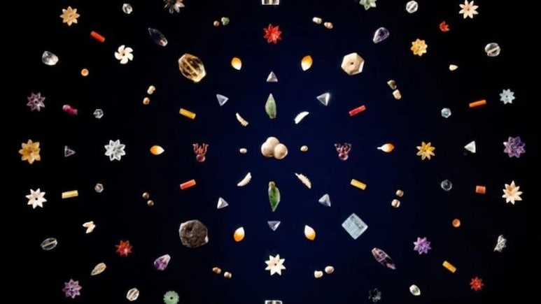The Story Of Piprahwa Gems, The Buddha Link, And How India Got Them Back