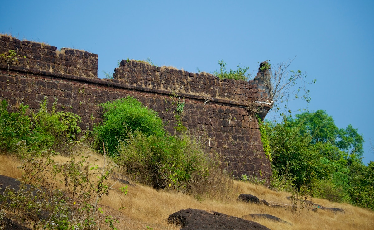 Latest and Breaking News on NDTV