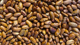 How Long Should You Soak Dal? Nutritionist Shares The Right Time For Every Type