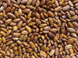 How Long Should You Soak Dal? Nutritionist Shares The Right Time For Every Type
