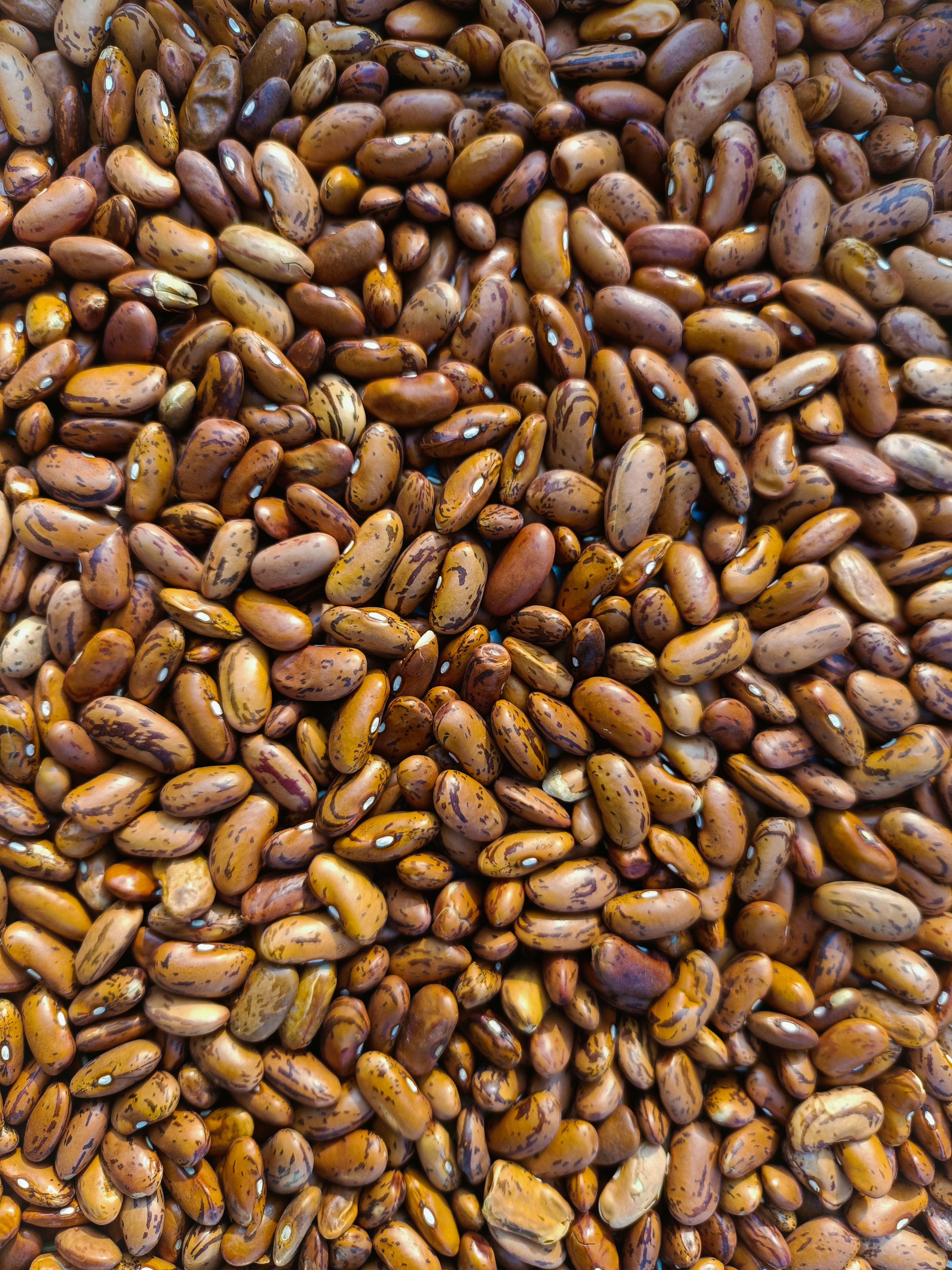 Rajma, chhole and chana have a tougher outer skin, and should be soaked for longer