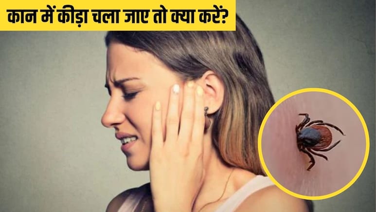 बारिश के मौसम में कान में कीड़ा चला जाए तो क्या करें? इन ट्रिक से 2 मिनट में आ जाएगा बाहर