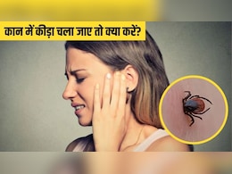 बारिश के मौसम में कान में कीड़ा चला जाए तो क्या करें? इन ट्रिक से 2 मिनट में आ जाएगा बाहर बारिश के मौसम में कान में कीड़ा चला जाए तो क्या करें? इन ट्रिक से 2 मिनट में आ जाएगा बाहर