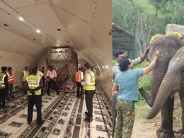 महीनों का प्रशिक्षण और फिर हवाई जहाज का सफर... बेंगलुरु से जापान पहुंचे 4 हाथी महीनों का प्रशिक्षण और फिर हवाई जहाज का सफर... बेंगलुरु से जापान पहुंचे 4 हाथी