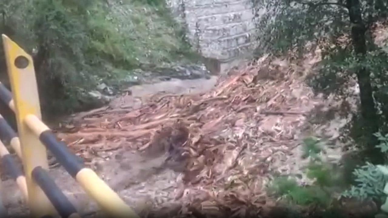 In 'Pushpa' - Esque Scene, Lakhs Of Logs Float Down Stream In Himachal