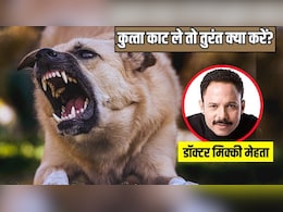 गली के कुत्ते ने काट लिया है तो डॉक्टर के पास भागने से पहले ऐसे करें उपचार, कम होगा रेबीज का खतरा