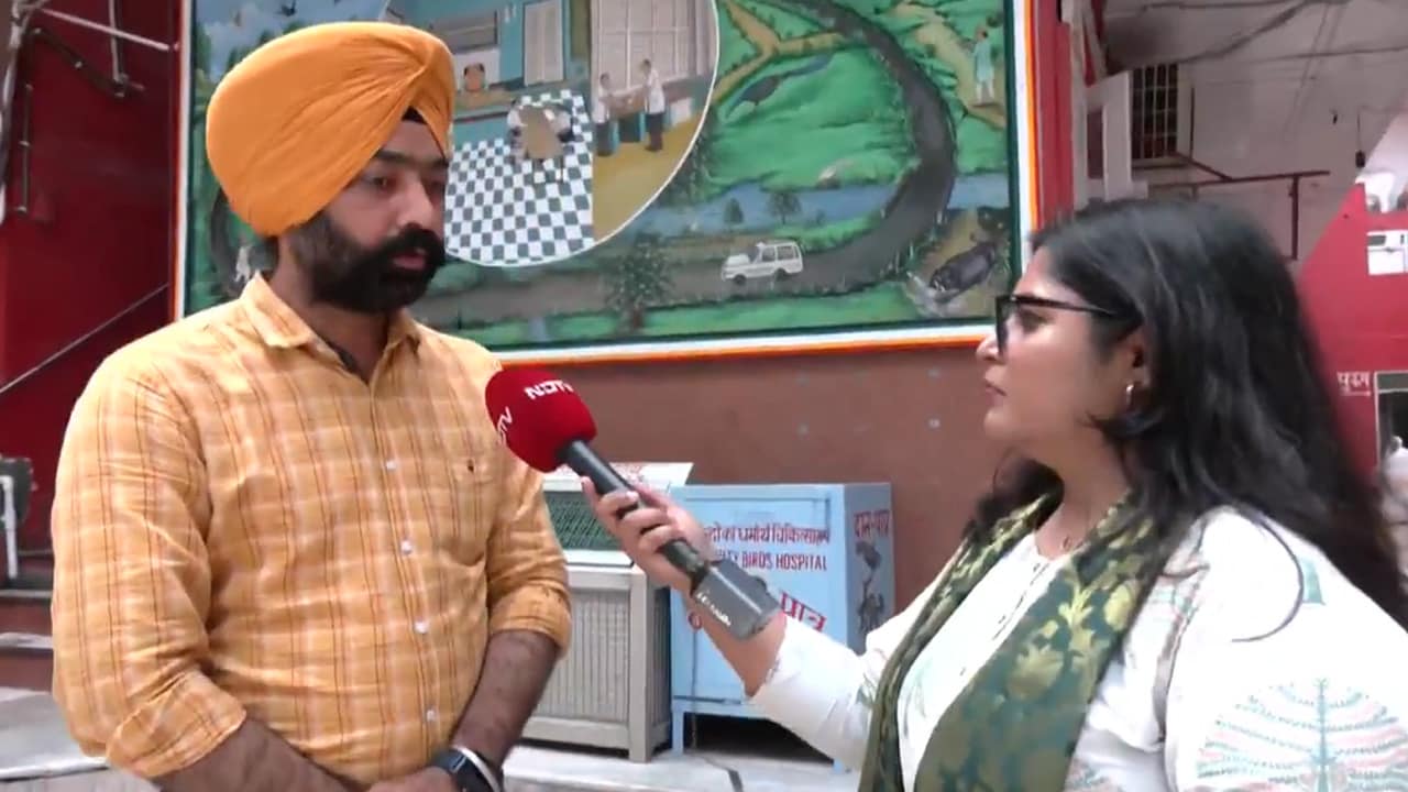 Video : Shelter Homes Could Ease Dog Conflicts, But Space Is Key: Vet Doctor  On India's Dog Dilemma