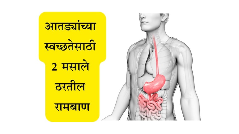 Gut Health News: पोट आणि पचनप्रक्रियेसाठी 2 मसाले ठरतील वरदान, आतड्यांची पटकन होईल स्वच्छता; वाचा उपाय