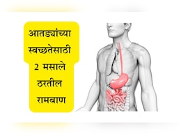 Gut Health News: पोट आणि पचनप्रक्रियेसाठी 2 मसाले ठरतील वरदान, आतड्यांची पटकन होईल स्वच्छता; वाचा उपाय Gut Health News: पोट आणि पचनप्रक्रियेसाठी 2 मसाले ठरतील वरदान, आतड्यांची पटकन होईल स्वच्छता; वाचा उपाय