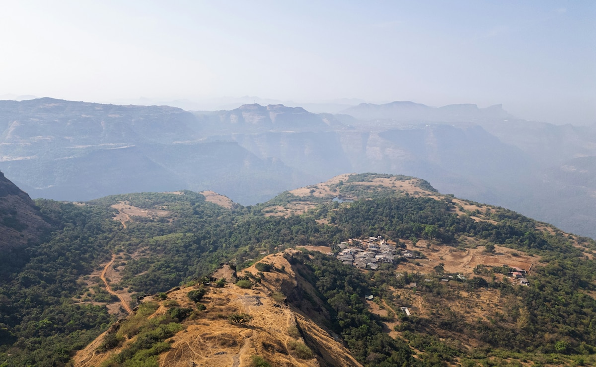 Latest and Breaking News on NDTV Latest and Breaking News on NDTV