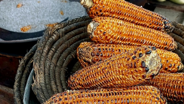 Latest and Breaking News on NDTV Latest and Breaking News on NDTV