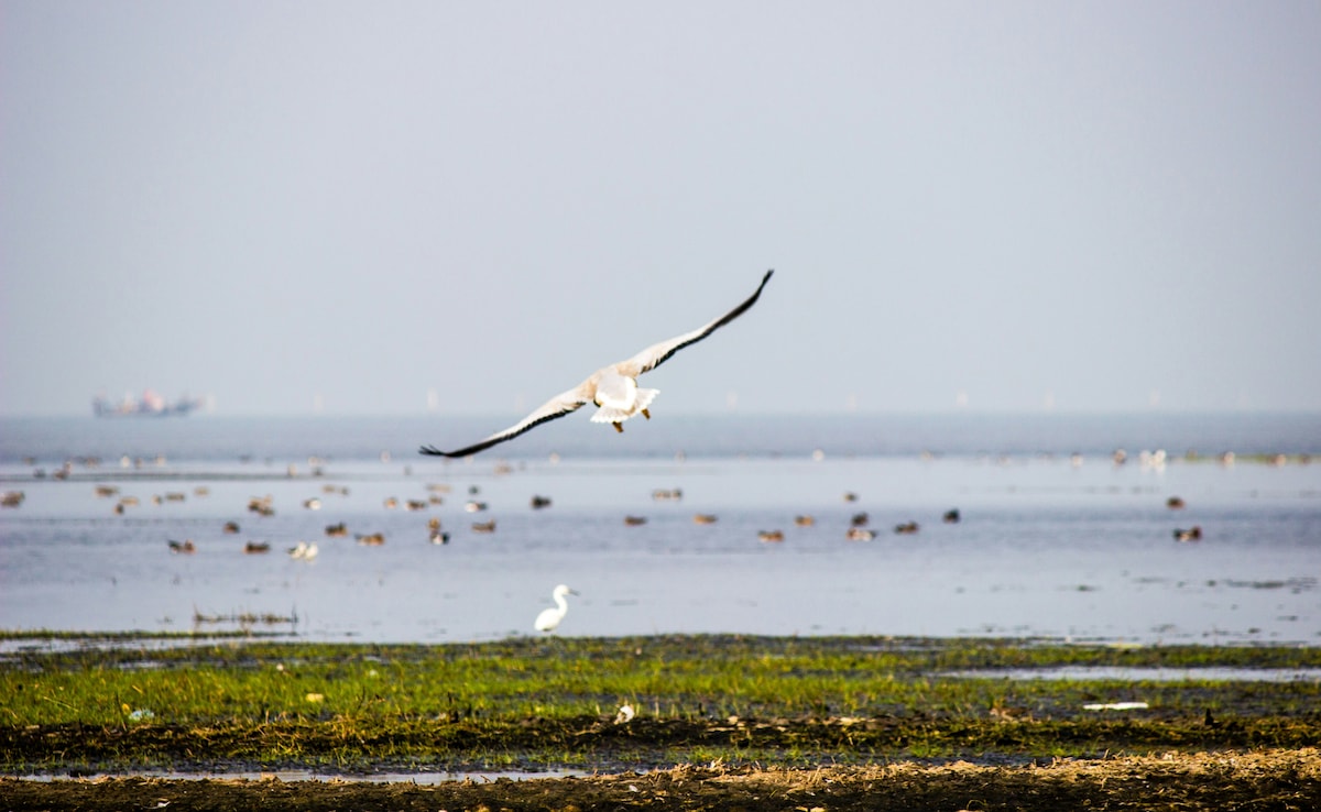 Latest and Breaking News on NDTV Latest and Breaking News on NDTV