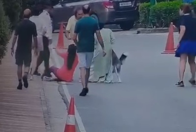 Pet Husky Attacks Woman At Gurugram, Does Not Let Go Of Hand For 15 Seconds