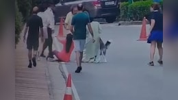 On Camera, Pet Husky's Sudden Attack On Woman At Posh Gurugram Complex
