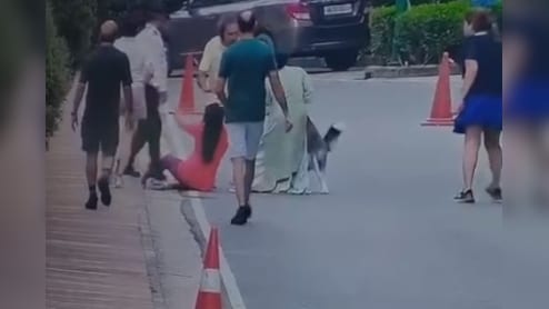 On Camera, Pet Husky's Sudden Attack On Woman At Posh Gurugram Complex