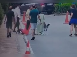 On Camera, Pet Husky's Sudden Attack On Woman At Posh Gurugram Complex On Camera, Pet Husky's Sudden Attack On Woman At Posh Gurugram Complex