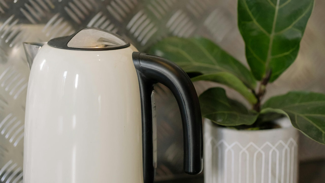 Compact, capable, and countertop-ready, this kettle's cooking story starts here.