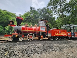 Mumbai&#039;s Iconic &#039;Van Rani&#039; Toy Train To Return To Sanjay Gandhi National Park