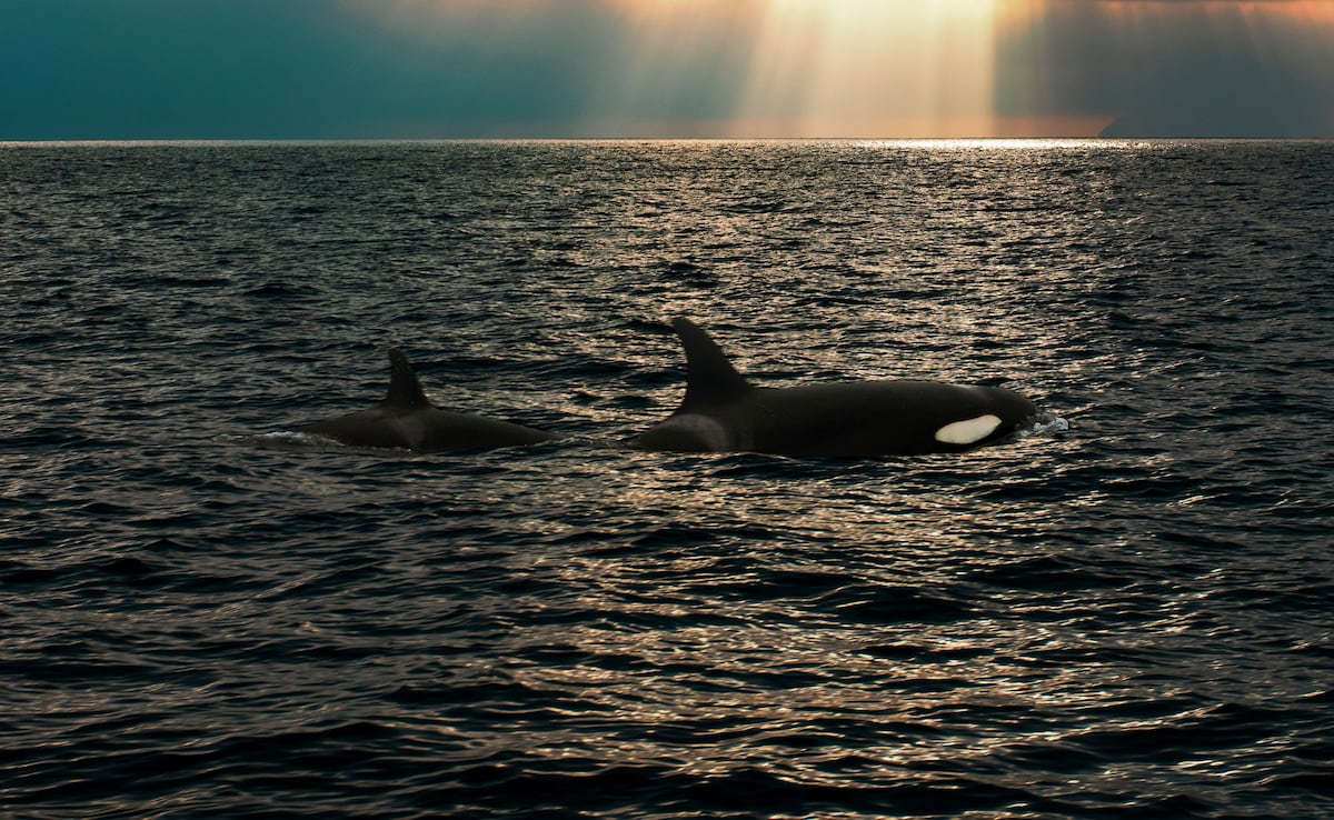 Photo: Unsplash Photo: Unsplash