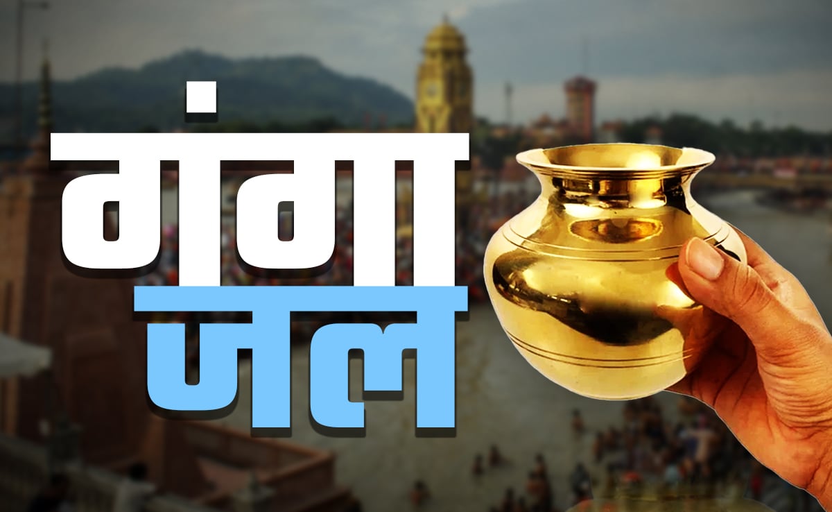 Latest and Breaking News on NDTV Latest and Breaking News on NDTV