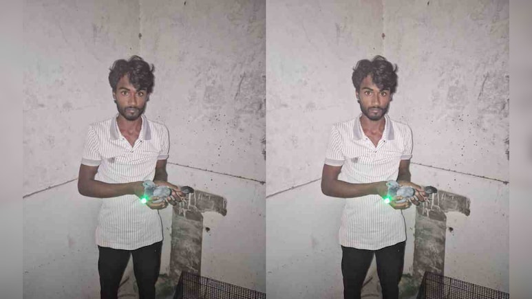 जिस ड्रोन से डरे यूपी के लोग, वो निकले कबूतर, हैरान करने वाली है ये कहानी