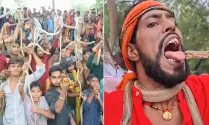 इस मेले में बच्चों से लेकर बुजुर्गों तक सब के हाथ में दिखें सांप, जानें कैसी है बिहार के समस्तीपुर की ये अनोखी प्रथा
