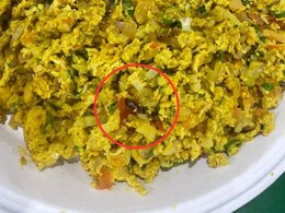 Pune News : गुडलक कॅफेत अंडाभुर्जीत सापडलं झुरळ; मुंबई- पुणे हायवेवरील फुडप्लाझातील प्रकार