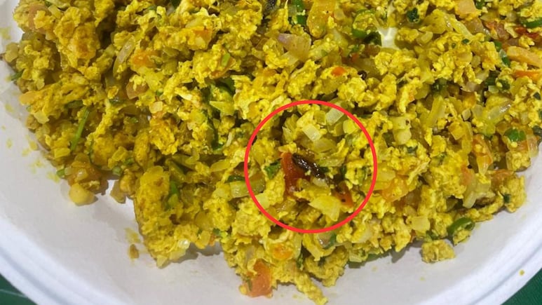 Pune News : गुडलक कॅफेत अंडाभुर्जीत सापडलं झुरळ; मुंबई- पुणे हायवेवरील फुडप्लाझातील प्रकार Pune News : गुडलक कॅफेत अंडाभुर्जीत सापडलं झुरळ; मुंबई- पुणे हायवेवरील फुडप्लाझातील प्रकार