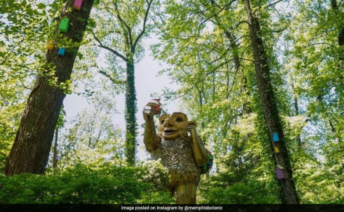 Woodside Сгушен в горите по света нежна армия от гигантски