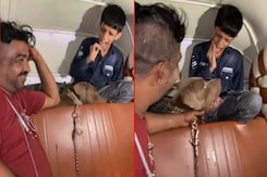 Man Laughs As His Pit Bull Bites Child Inside Auto-Rickshaw In Mumbai Man Laughs As His Pit Bull Bites Child Inside Auto-Rickshaw In Mumbai