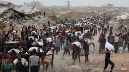 Netanyahu 'In Denial' Over Suffering In Gaza: Australia PM Anthony Albanese