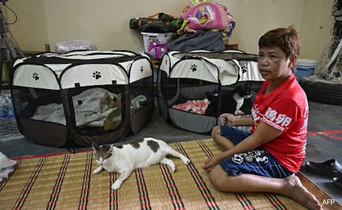 Когато първата сл На Камбодската артилерия изкрещя през селото си