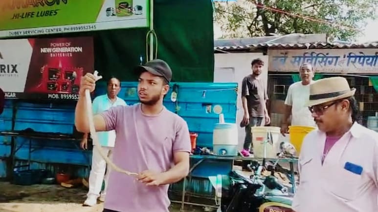 Student Rides Bike For 2 Hours With Deadly Snake Hidden Under Fuel Tank