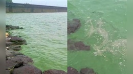 Pune News : पुण्यातील 'या' धरणातील पाण्याचा रंग अचानक बदलला; नागरिकांमध्ये भीतीचं वातावरण