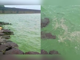 Pune News : पुण्यातील 'या' धरणातील पाण्याचा रंग अचानक बदलला; नागरिकांमध्ये भीतीचं वातावरण Pune News : पुण्यातील 'या' धरणातील पाण्याचा रंग अचानक बदलला; नागरिकांमध्ये भीतीचं वातावरण