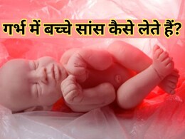 मां के पेट में कैसे सांस लेते हैं शिशु? जानें जन्म लेने के कितनी देर बाद पहली सांस लेना है जरूरी मां के पेट में कैसे सांस लेते हैं शिशु? जानें जन्म लेने के कितनी देर बाद पहली सांस लेना है जरूरी