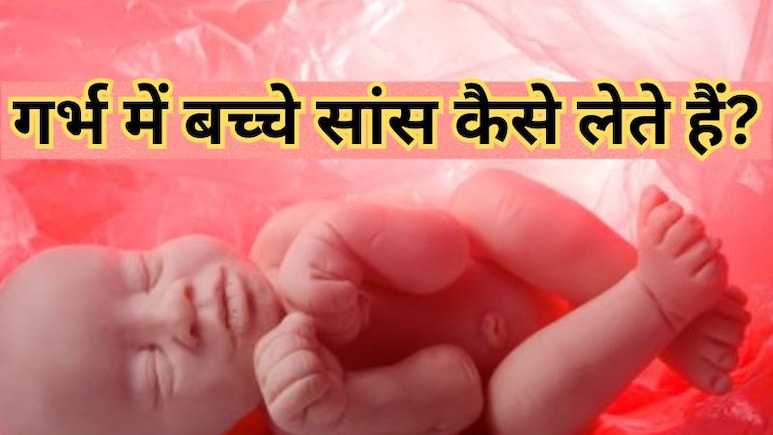 मां के पेट में कैसे सांस लेते हैं शिशु? जानें जन्म लेने के कितनी देर बाद पहली सांस लेना है जरूरी मां के पेट में कैसे सांस लेते हैं शिशु? जानें जन्म लेने के कितनी देर बाद पहली सांस लेना है जरूरी