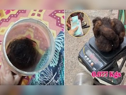 2 साल तक इकट्ठे किए झड़ते बाल, पैसे कमाने के लिए लगाया तगड़ा जुगाड़, देख लोग बोले- कमाल का बिजनेस है